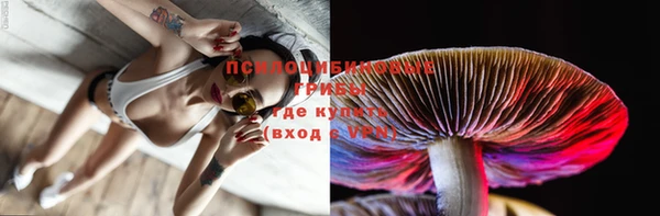 apvp Абинск