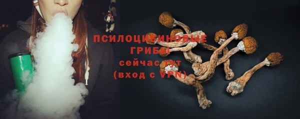 трава Абаза