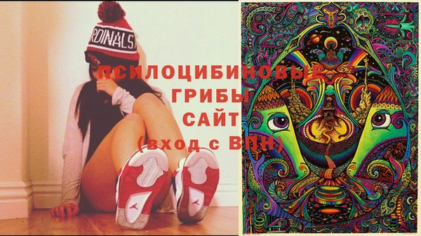 apvp Абинск