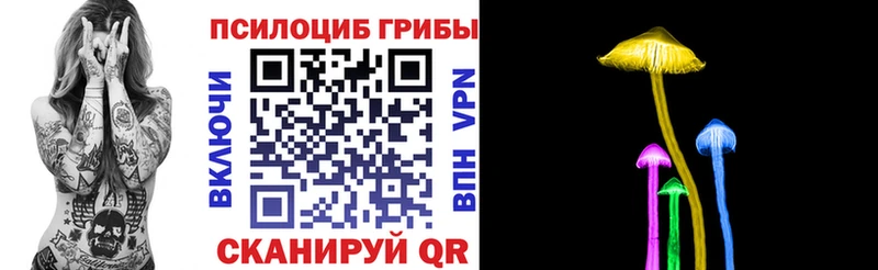 дарнет шоп  Ессентукская  кракен ТОР  Галлюциногенные грибы мухоморы 
