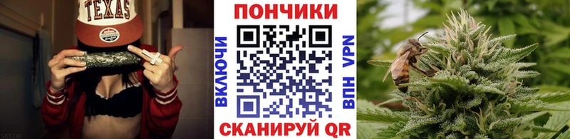 Бошки Шишки семена Ессентукская